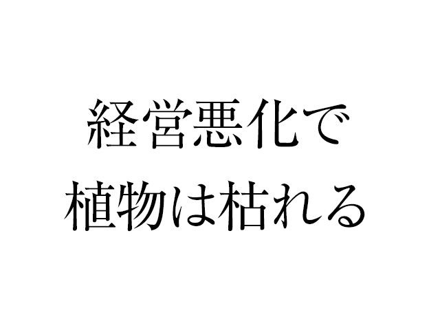 植物が枯れている会社は経営状況が悪い…その理由