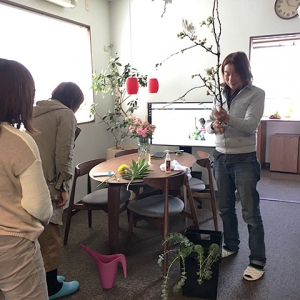 室内での花見とラナンキュラスの月見