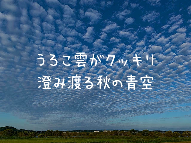 書くように話すってトレーニングですね