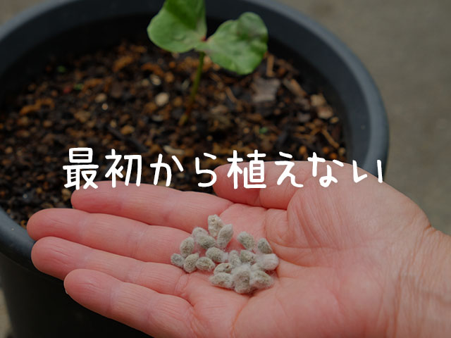 怪しいと思った種は植えてはならない