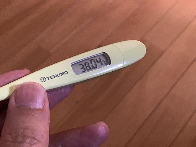 久しぶりに38℃の熱が出ました…強烈な副反応