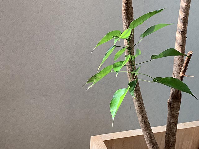 ウォーターサーバーを撤去に寂しくなりました…