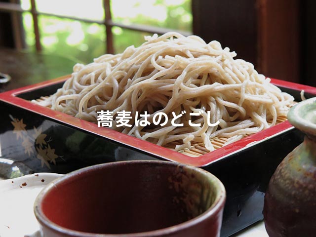 初めて胃カメラを飲みました…健康って何より大事だな～