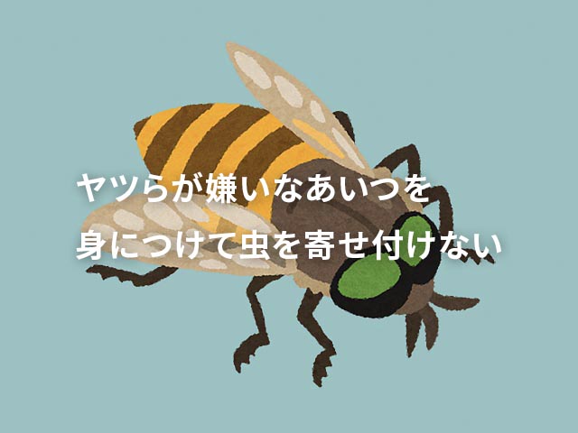 外で仕事をする皆さん「虫除けに効果がある！」という噂のアイツを知ってますか？