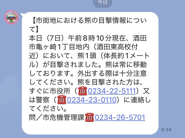 熊、仕方ないけど気の毒、気の毒だけど仕方ない