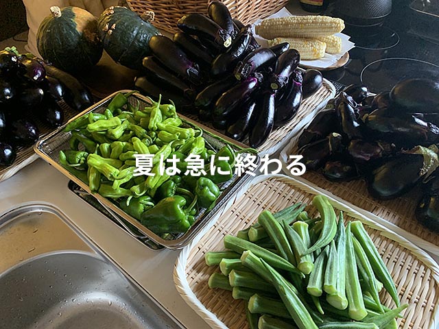 毎日毎日猛暑が続きますが…物事はとらえ方次第だ