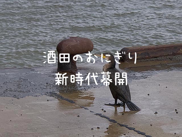 愛されてるんだな…いそ浜さん