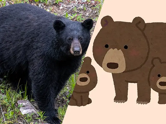 今年の漢字は怖さと可愛さの両方をあわせもつアレでしたね